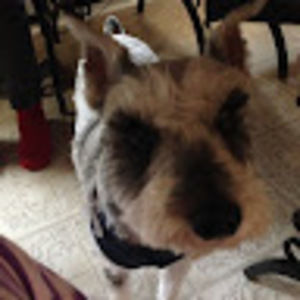 Meet your Posher, Clarissa